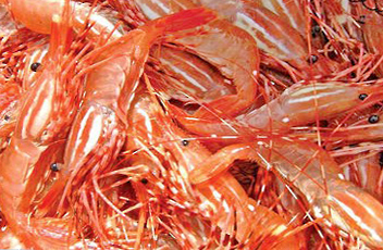 version offered image