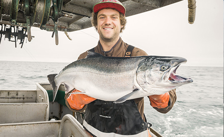 salmon